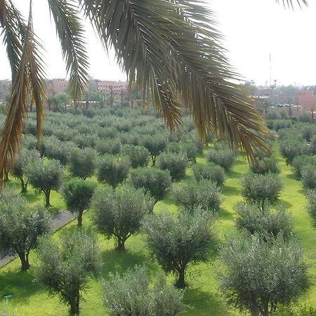 Dar Jl Villa Marrakesh Exteriör bild